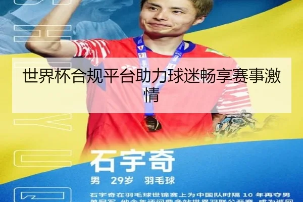 世界杯合规平台助力球迷畅享赛事激情